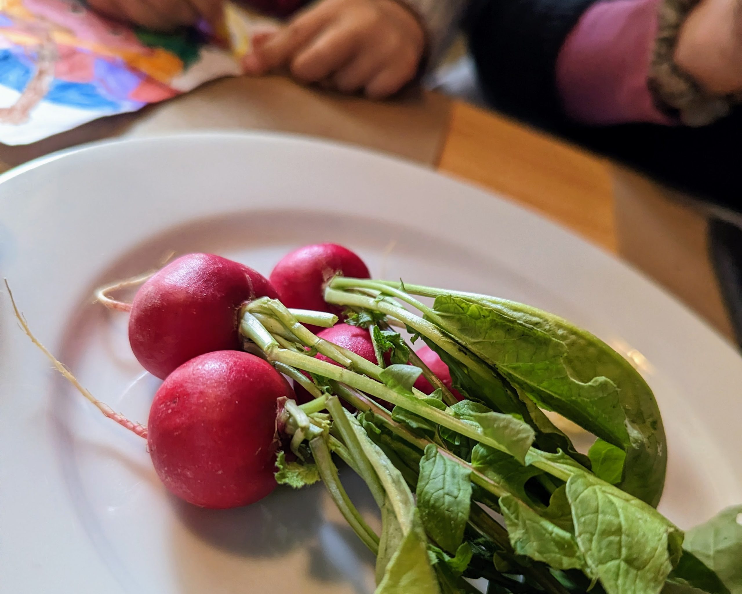 Radishes a seasonal vegtable we recommend you try with butter on this food tour!