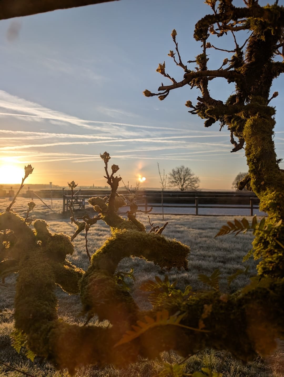 Sunrise over countryside in Le Perche Normandy